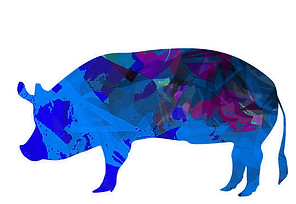 pig.jpg