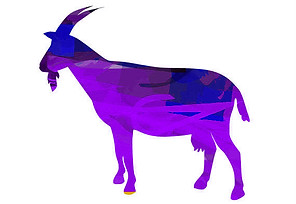 goat.jpg
