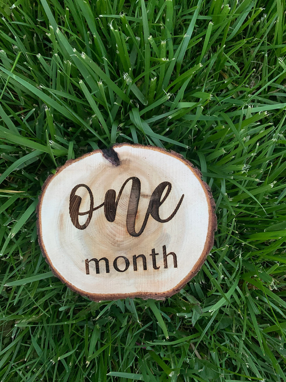 Thumbnail: Baby Monthly Milestones