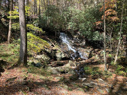 Barnes Creek Falls