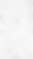 Icon 1.png