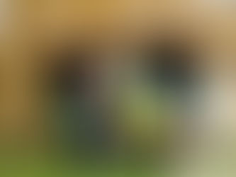 CHARYTATYWNIE DLA MSPDION