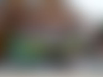 Api Cup w kategorii żak