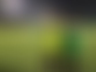 FILO I KOWAL NA KOSULTACJI SZKOLENIOWEJ KADRY DZPN