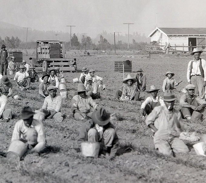 Seeds of Promise.jpg