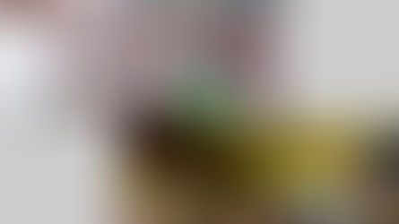 La estación del año