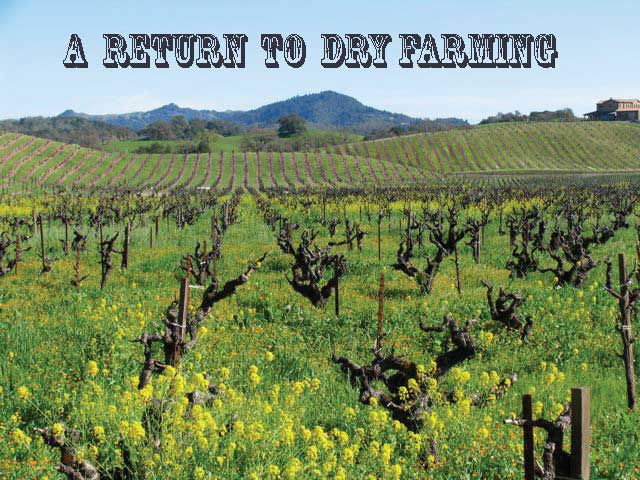 dry-farming-Sonoma.jpg