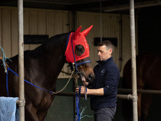 BELL ON THE BALL FOR O'HALLORAN