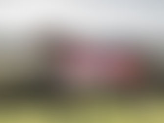 LADIES DAY CUP ADDED TO WEDNESDAY'S MEETING