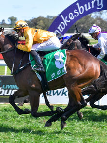 CROFT'S "FLOWER" NO SURPRISE AT $31