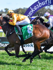 CONTINUING RAIN FORCES HAWKESBURY OFF TOMORROW