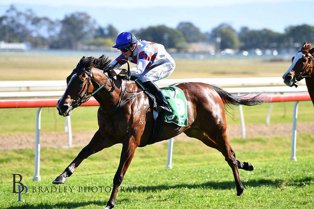 HAWKESBURY TRAINERS BAG HALF THE PROGRAM