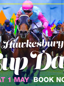 "GLAMOUR" MARE READY TO BOW OUT IN STYLE AT HAWKESBURY