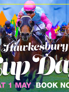 WIDDUP CHASING FIRST WIN AT HOME TRACK STAND ALONE