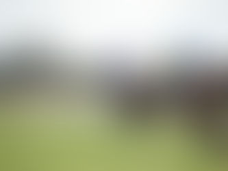 PACKER READY TO WRITE HIS NAME AS A WINNER