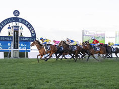 WYNEN HOPING FOR HAWKESBURY "BLITZ"