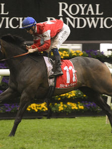 HAWKESBURY GETS FIRST RUNNER IN A $7.5M RACE