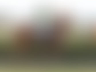 THIS BLOKE ISN'T JUST A HORSE AT ALL