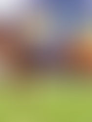 NOT BLAZING A TRAIL THIS SPRING