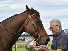 ALL THAT GLITTERS IS "GOLD"