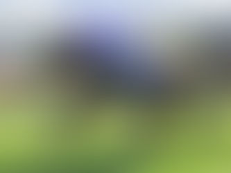 GROUP 1 HERO REVELS IN HAWKESBURY ENVIRONMENT