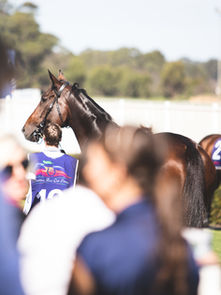 HAS SHE "ICED" A GOLDEN EAGLE BERTH?