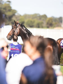 "MILITARY" READY TO STRIKE BACK