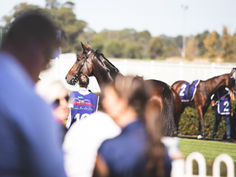 HAS SHE "ICED" A GOLDEN EAGLE BERTH?