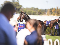 "MILITARY" READY TO STRIKE BACK