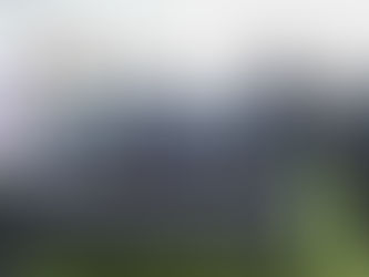 WIDDUP GETS PHEARSON IN FINAL - AND CHASING MORE SPOTS