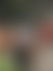 QUINTON HOPES "BETTY" BLOOMS BACK IN THE SHALLOWS