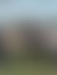 BATHURST TREBLE CONTINUES TRAINERS' MOMENTUM THIS YEAR