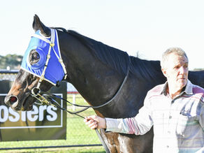 FORBES A WINNING MECCA FOR TRAINERS