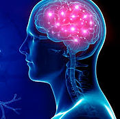 seizure pic 2.jpeg