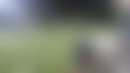 Unglückliche Niederlage gegen die Irish Rovers