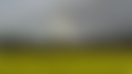 Bitteres Remis für die Damen des TSV Allach 09