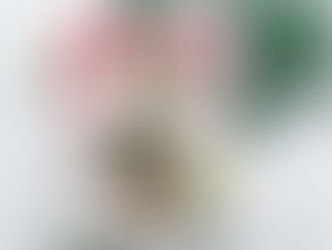 Recently engaged during the holidays?!? CONGRATS!! Now lets chat about your engagement and wedding p