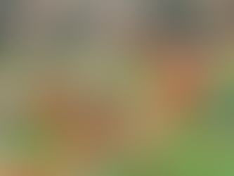 The power of winter scent