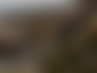 Le système nerveux en automne...