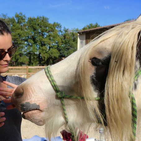 olfactothérapie - les huiles essentielles et les pathologies psycho-émotionnelles