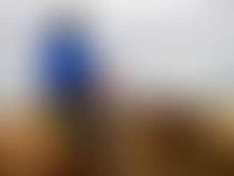 T'as un cheval de sport ou de loisir ?