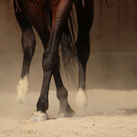 Les douleurs articulaires 