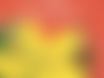 #1 Le cadeau du naturo'