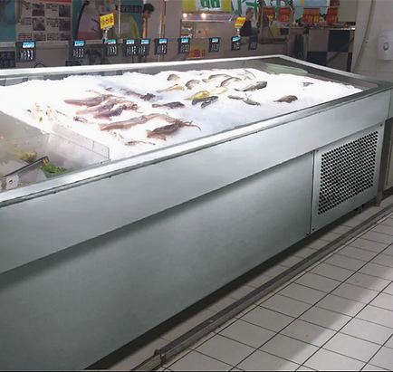 Commercial seafood and fresh fish display case with ice bed - GUBO Manufacturer