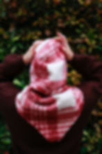 Capuche à carreaux rouges portée par une femme vue de dos