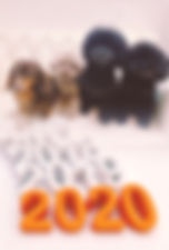 image0 (1).jpeg
