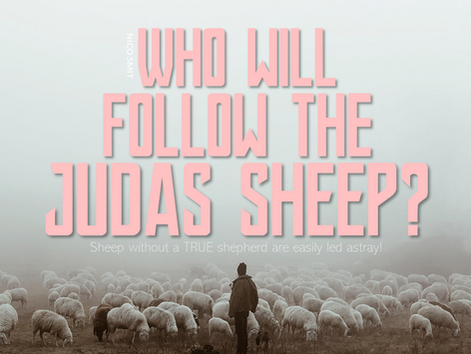 Judas Sheep article by Nico Smit