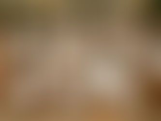 Join the Cornerstone Deluxe Family: We're More Than Soap — This is a Lifestyle Shift Toward Health, Clarity & Care