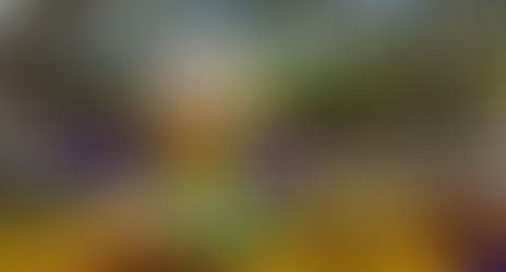 "Consume los productos que tu cuenca produce"