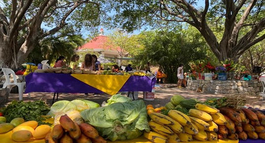 "Consume los productos que tu cuenca produce"